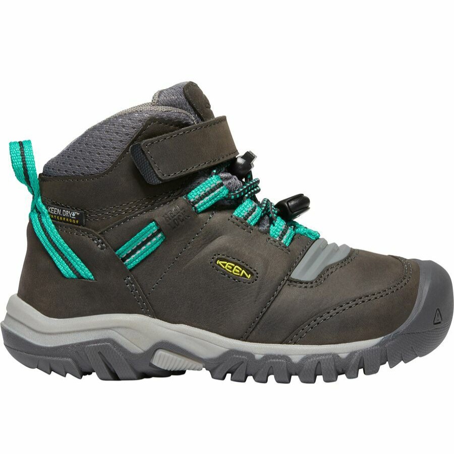 Toddler Boys' Footwear * | Sale Keen Ridge Flex Mid Wp Boot Little Kids'